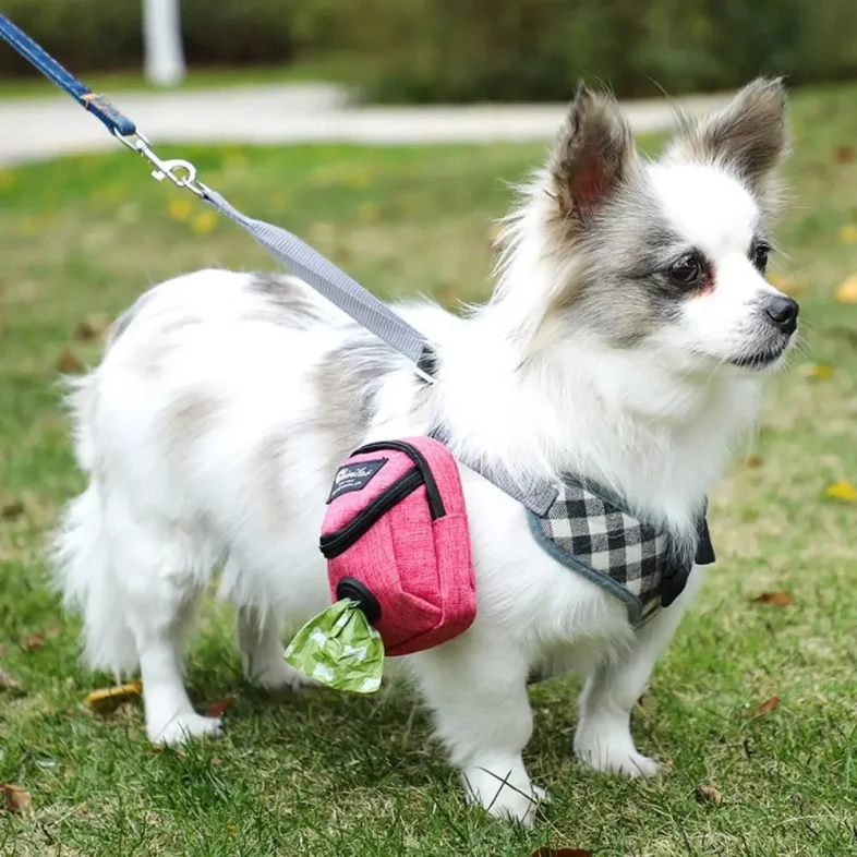 Portable Dog Training Treat Bag Outdoor Pet Dog Treat Pouch Puppy Snack Reward Waist Bag Dog Poop Bag Dog Carriers Bags